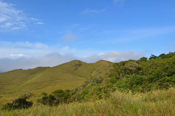 istock Landscapes of Fields Campos do Quiriri 1142874121
