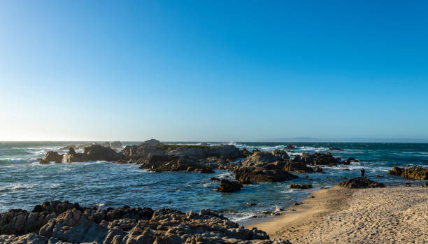 istock Coastline of Monterey Ca. 1142874193