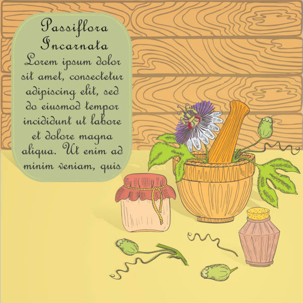 ilustraciones, imágenes clip art, dibujos animados e iconos de stock de set de mano para hacer poción con maypop - mortar and pestle wood healthcare and medicine jar