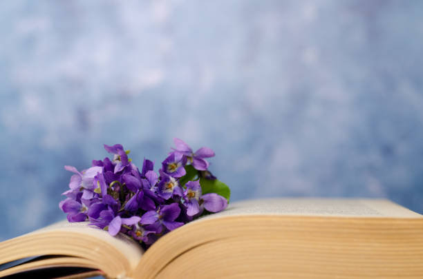 istock Vintage romantic background with old book, violet flowers and copy space. 1142877676