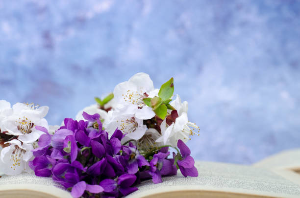 istock Vintage romantic background with old book, violet flowers and copy space. 1142877683