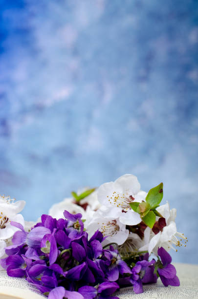 istock Vintage romantic background with old book, violet flowers and copy space. 1142877686