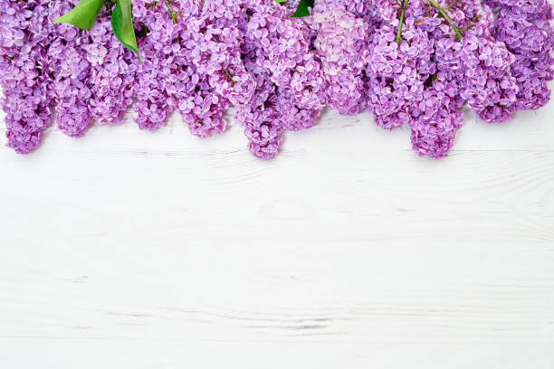 istock Floral pattern of lilac branches, flowers background. Flat lay, top view. 1142877695