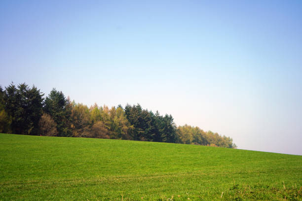 istock English countryside views in the evening 1142878114