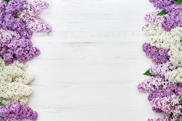 istock Floral pattern of lilac branches, flowers background. Flat lay, top view. 1142878275