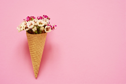 Ice cream cone with small flowers on pink background. Copy space, top view. Summer concept