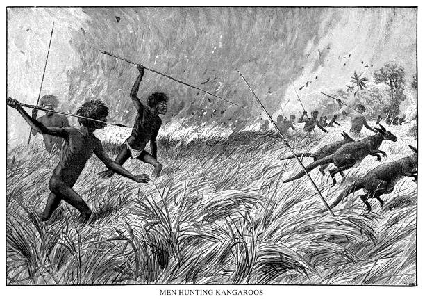 ilustrações, clipart, desenhos animados e ícones de homens que caçam cangurus - etnia aborígene australiana ilustrações