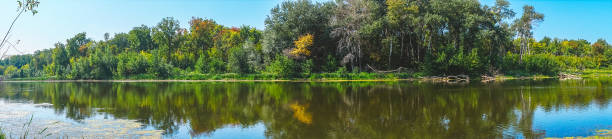 istock Panorama of forest river on a Sunny day 1142883152