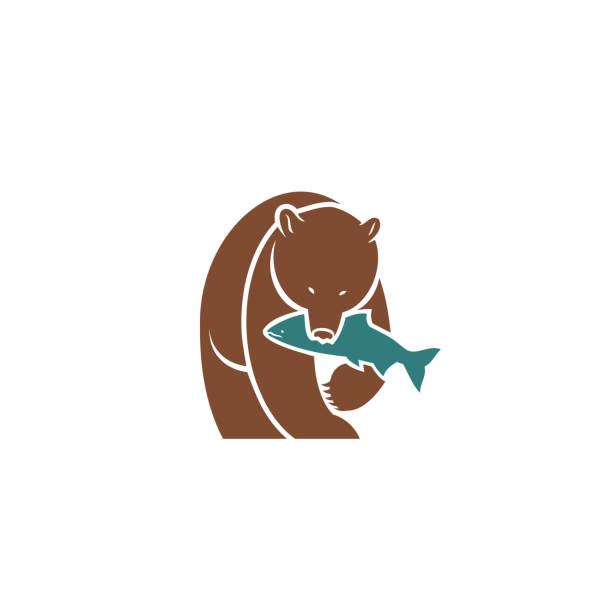 ilustrações de stock, clip art, desenhos animados e ícones de bear with caught fish - vector illustration - alaskan salmon