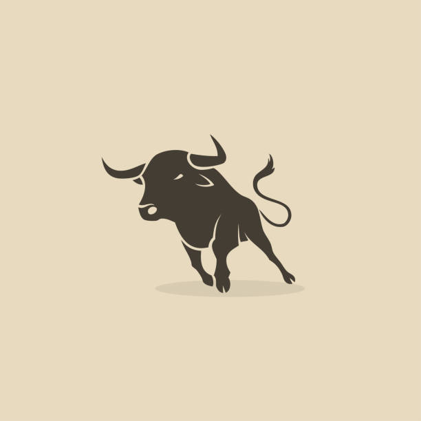 illustrazioni stock, clip art, cartoni animati e icone di tendenza di toro in esecuzione - illustrazione vettoriale - texas longhorn cattle horned cattle farm