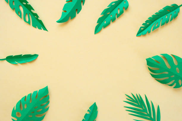 istock tropical leaves cut from paper on a yellow background. 1142883937