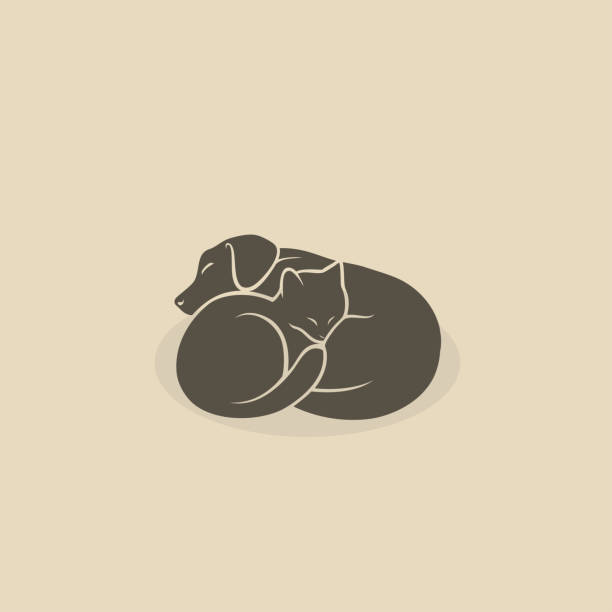 illustrations, cliparts, dessins animés et icônes de chat et chien dormant-illustration vectorielle - purebred cat illustrations