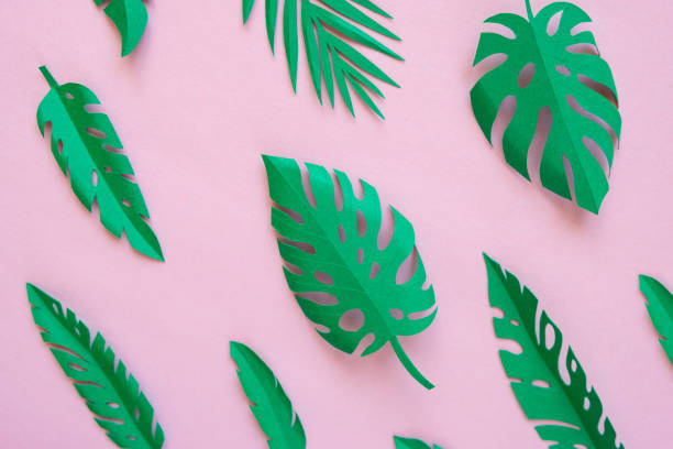 istock tropical leaves cut from paper on a pink background. 1142883959