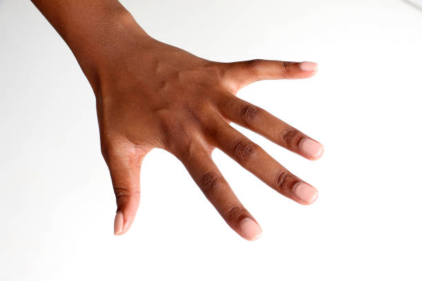 weibliche schwarzafrikanische hand offen - arm anatomiebegriff fotos stock-fotos und bilder