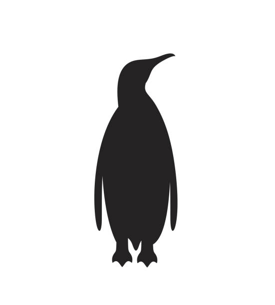 illustrations, cliparts, dessins animés et icônes de silhouette de pingouin. oiseau - manchot