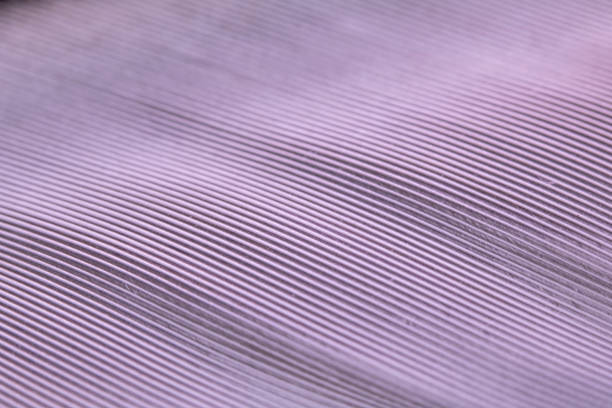 istock Macro Close Up Of White Feather on Black Background 1142892496
