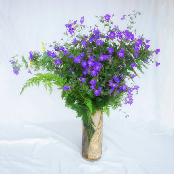 istock Spring forest bouquet of flowers. Geranium. 1142898108