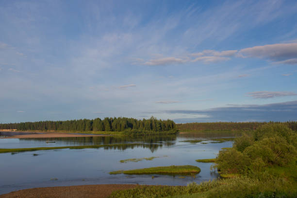 istock Summer morning landscape on the river. 1142898691