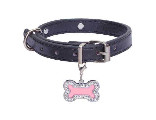 istock Pink Dog Bone Tag With Collar 1142898813