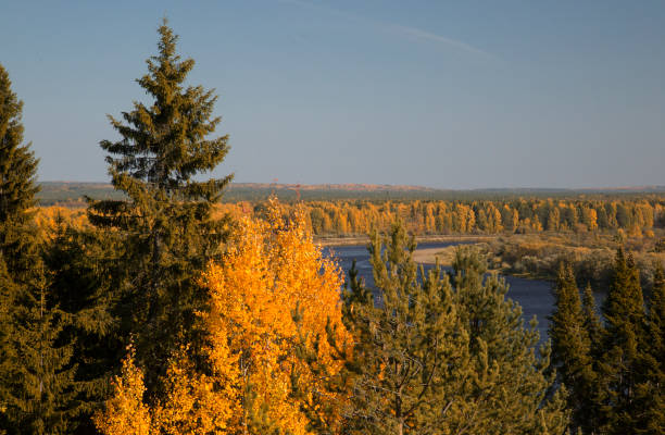 istock Beautiful autumn landscape 1142898830
