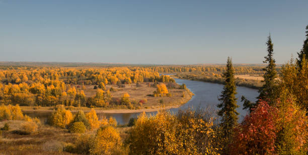 istock Beautiful autumn landscape 1142898925