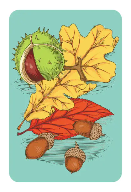 Vector illustration of Postcard with Horse Chestnut, acorns and Leaves