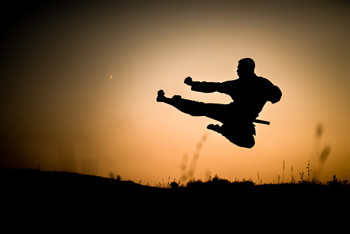 Silhouette of martial artist performing a flying kick. Rural scene.