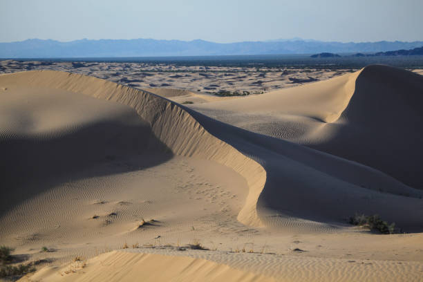 istock Salton Sea Desert Sand Dunes 1142900212