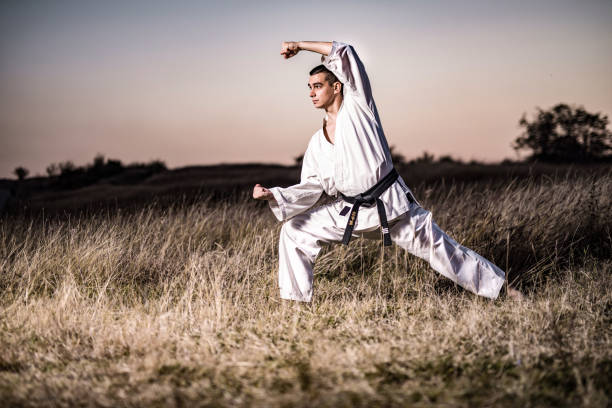 istock Martial artist practicing skills in nature. 1142900310