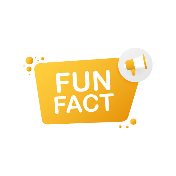 Hand holding megaphone - Fun fact. Vector illustration. Hand holding megaphone - Fun fact. Vector stock illustration. fact bubble stock illustrations