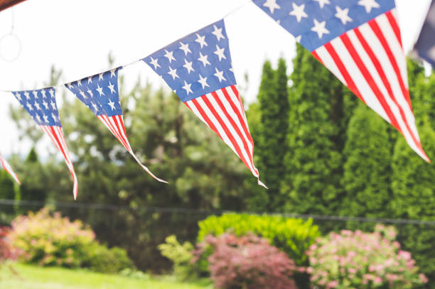istock Stars and Stripes Forever 1142901178