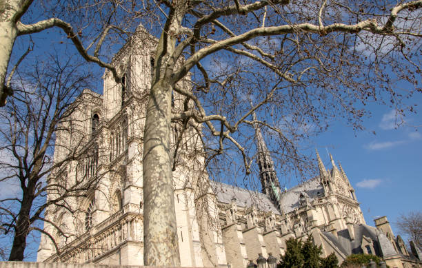 Cathedral Notre Dame Paris stock photo