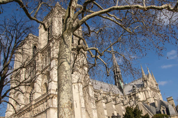 Cathedral Notre Dame Paris stock photo