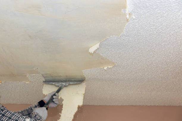 istock Take off in the popcorn ceiling home wall texture removal 1142903007