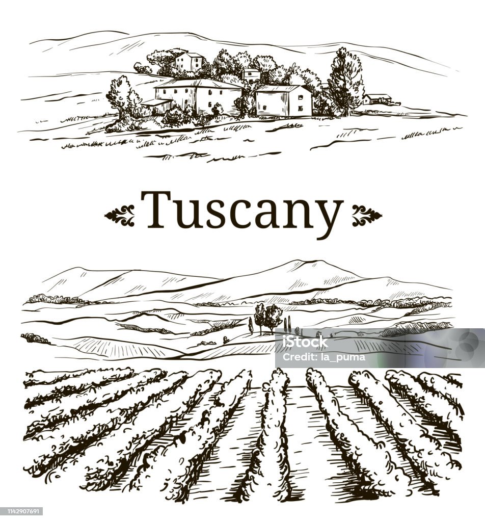 dessin du paysage et des vignobles de la province italienne de la Toscane - clipart vectoriel de Vignoble libre de droits
