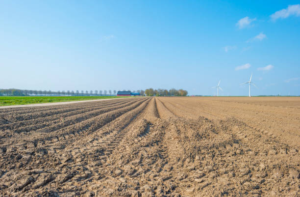 istock Trees along a plowed field below a blue sky in spring 1142911897