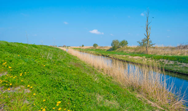 istock Canal in the countryside below a blue sky in sunlight in spring 1142912314