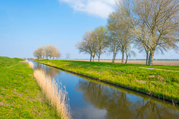 istock Canal in the countryside below a blue sky in sunlight in spring 1142912327