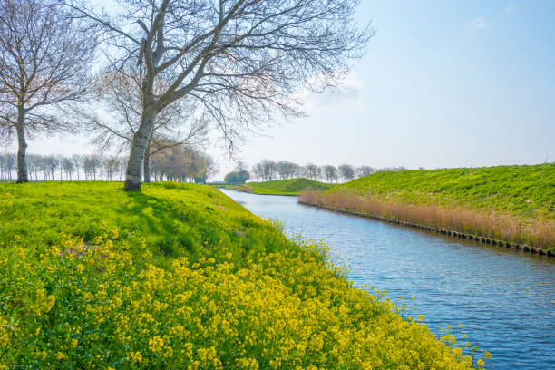 istock Canal in the countryside below a blue sky in sunlight in spring 1142912340