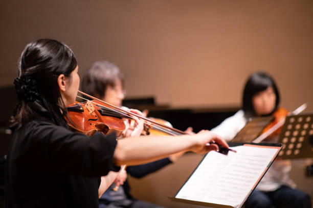 музыкант играет на скрипке на классическом концерте - violinist violin classical music classical concert стоковые фото и изображения