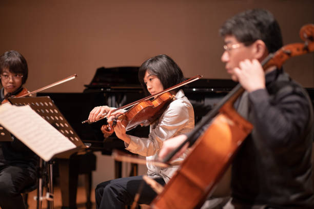 istock Violin and cello concert 1142915867