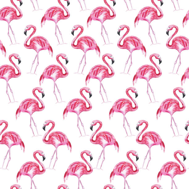 istock Seamless pattern with pink flamingo on a white background. Watercolor illustration. 1142917951