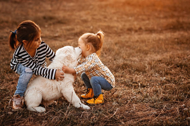 istock Girls playing with dog 1142920309