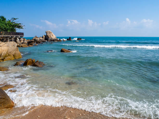 istock Wooden paths along the sea 1142920319