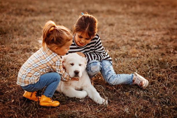 istock Our white and cute dog 1142920423