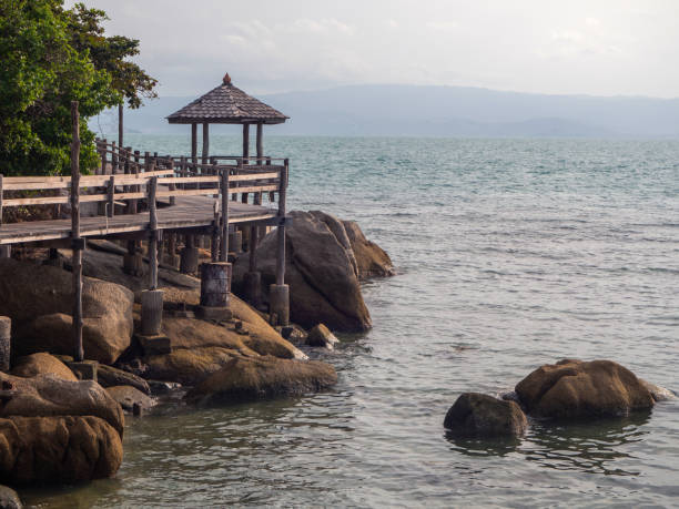 istock Wooden paths along the sea 1142920453