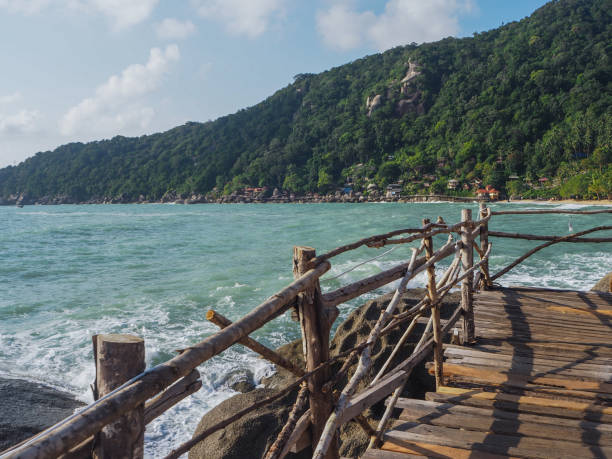 istock Wooden paths along the sea 1142920484