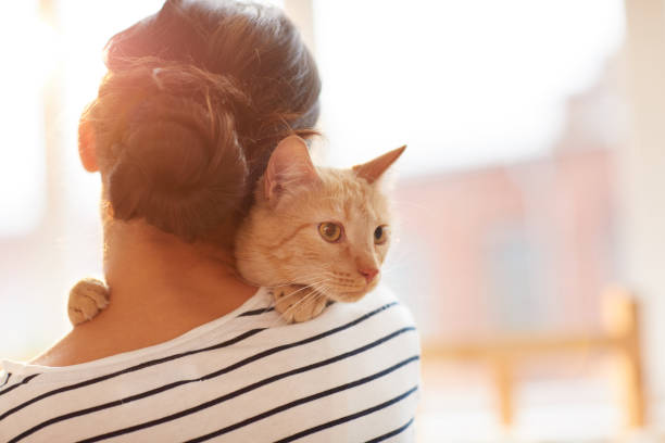 istock Woman Hugging Ginger Cat Back View 1142921557