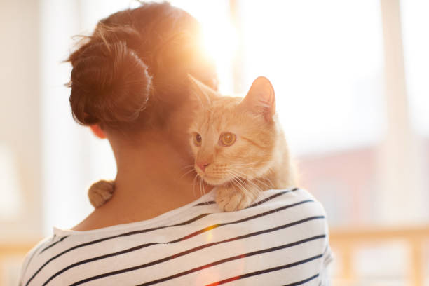 Ginger Cat Embracing Owner Back view portrait of unrecognizable young woman holding gorgeous ginger cat on shoulder, copy space sheltering photos stock pictures, royalty-free photos & images