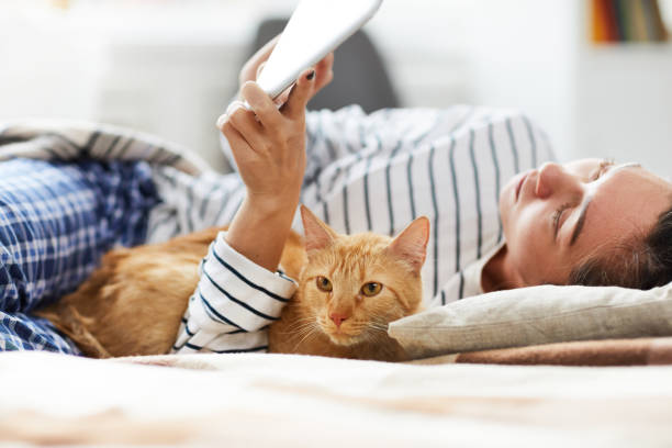 istock Cat Lying in Bed with Owner 1142921566
